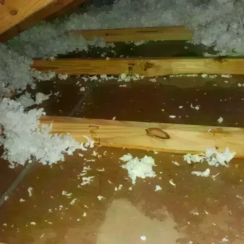 Attic Water Damage in Waurika, OK